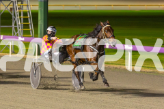 2023_HCC_GP12082025_Race9_Art-Ideal_WEB-1