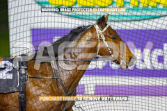 2026_Pacepix_GP14082026_Race9_AtlasTheTitan_WIN_WEB-17