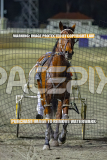 2026_Pacepix_GP14082026_Race9_AtlasTheTitan_WIN_WEB-20
