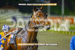 2026_Pacepix_GP14082026_Race9_AtlasTheTitan_WIN_WEB-21