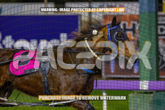2026_PACEPIX_GP25082026_RACE9_BalticAce_WIN_WEB-10