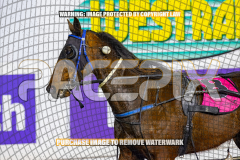 2026_PACEPIX_GP25082026_RACE9_BalticAce_WIN_WEB-12