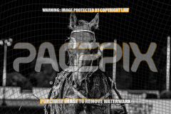 2026_PACEPIX_GP25082026_RACE9_BalticAce_WIN_WEB-15