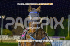 2026_PACEPIX_GP25082026_RACE9_BalticAce_WIN_WEB-16
