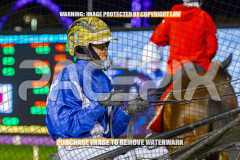 2026_PACEPIX_GP25082026_RACE9_BalticAce_WIN_WEB-17