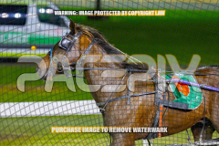 2026_Pacepix_GP18082026_Race9_BEATTHEBANK_WIN_WEB-12
