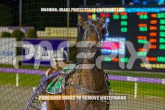 2026_Pacepix_GP18082026_Race9_BEATTHEBANK_WIN_WEB-14