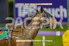 2026_Pacepix_GP18082026_Race9_BEATTHEBANK_WIN_WEB-9
