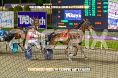 2026_PACEPIX_GP16102026_Race9_BeeBeeBeroc_WIN_WEB-10