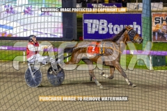 2026_PACEPIX_GP16102026_Race9_BeeBeeBeroc_WIN_WEB-11