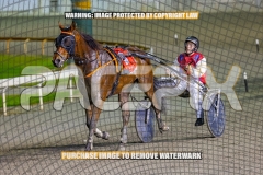 2026_PACEPIX_GP16102026_Race9_BeeBeeBeroc_WIN_WEB-16