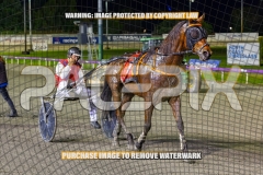 2026_PACEPIX_GP16102026_Race9_BeeBeeBeroc_WIN_WEB-26