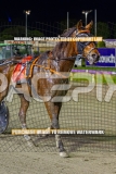 2026_PACEPIX_GP16102026_Race9_BeeBeeBeroc_WIN_WEB-27