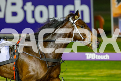 2026_PACEPIX_GP08052026_Race9_Beetastic_WIN_WEB-12
