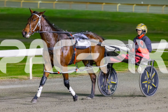 2026_PACEPIX_GP08052026_Race9_Beetastic_WIN_WEB-13
