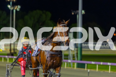 2026_PACEPIX_GP08052026_Race9_Beetastic_WIN_WEB-18