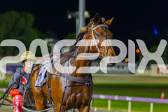 2026_PACEPIX_GP08052026_Race9_Beetastic_WIN_WEB-19