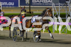2026_PACEPIX_GP08052026_Race9_Beetastic_WIN_WEB-3