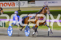 RACE 9 - Bettor Fortune