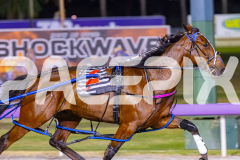 2025_PACEPIX_GP03102025_RACE9_BettorFortune_WIN_WEB-9