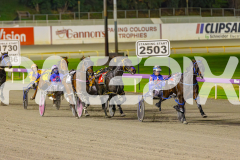 2025_PACEPIX_GP06062025_RACE9_BrickiesDream_WIN_WEB-14