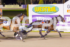 2025_PACEPIX_GP06062025_RACE9_BrickiesDream_WIN_WEB-20