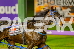 2025_PACEPIX_GP06062025_RACE9_BrickiesDream_WIN_WEB-38