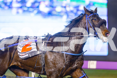 2025_PACEPIX_GP06062025_RACE9_BrickiesDream_WIN_WEB-4