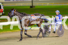 2025_PACEPIX_GP06062025_RACE9_BrickiesDream_WIN_WEB-40