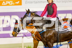2025_PACEPIX_GP06062025_RACE9_BrickiesDream_WIN_WEB-41