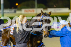 2025_PACEPIX_GP06062025_RACE9_BrickiesDream_WIN_WEB-46