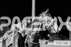 2025_PACEPIX_GP06062025_RACE9_BrickiesDream_WIN_WEB-47