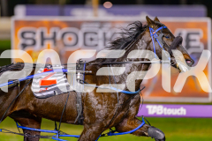 2025_PACEPIX_GP06062025_RACE9_BrickiesDream_WIN_WEB-5
