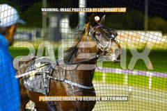2026_PACEPIX_GP28082026_Race9_BroughtToLife_WIN_WEB-7
