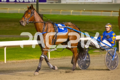 But-Jo_21-10-2025_WIN_Gloucester-Park_9__10