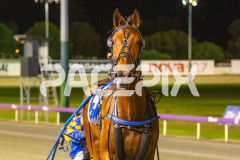 But-Jo_21-10-2025_WIN_Gloucester-Park_9__11