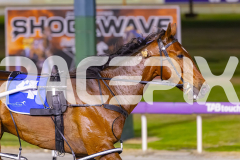 2025_PACEPIX_GP14112025_RACE9_CaptainConfetti_WIN_WEB-10