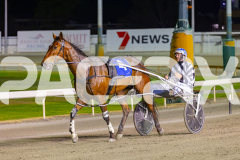 2025_PACEPIX_GP14112025_RACE9_CaptainConfetti_WIN_WEB-12