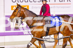 2025_PACEPIX_GP14112025_RACE9_CaptainConfetti_WIN_WEB-13