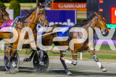 2025_PACEPIX_GP14112025_RACE9_CaptainConfetti_WIN_WEB-2