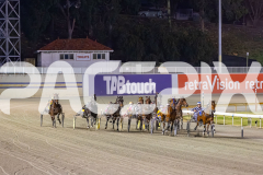 2025_PACEPIX_GP14112025_RACE9_CaptainConfetti_WIN_WEB-4