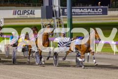 2025_PACEPIX_GP14112025_RACE9_CaptainConfetti_WIN_WEB-5