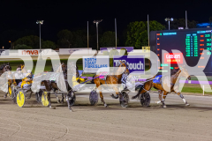 2025_PACEPIX_GP14112025_RACE9_CaptainConfetti_WIN_WEB-6