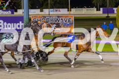 2025_PACEPIX_GP14112025_RACE9_CaptainConfetti_WIN_WEB-7