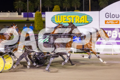2025_PACEPIX_GP14112025_RACE9_CaptainConfetti_WIN_WEB-8