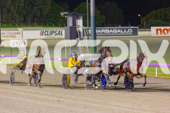 2025_PACEPIX_GP08072025_Race9_HighviewRozi_WIN_WEB-15