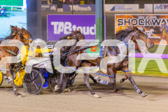 2025_PACEPIX_GP08072025_Race9_HighviewRozi_WIN_WEB-18