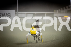 2025_PACEPIX_GP08072025_Race9_HighviewRozi_WIN_WEB-2
