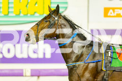 2025_PACEPIX_GP08072025_Race9_HighviewRozi_WIN_WEB-28