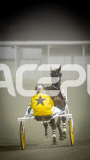 2025_PACEPIX_GP08072025_Race9_HighviewRozi_WIN_WEB-3